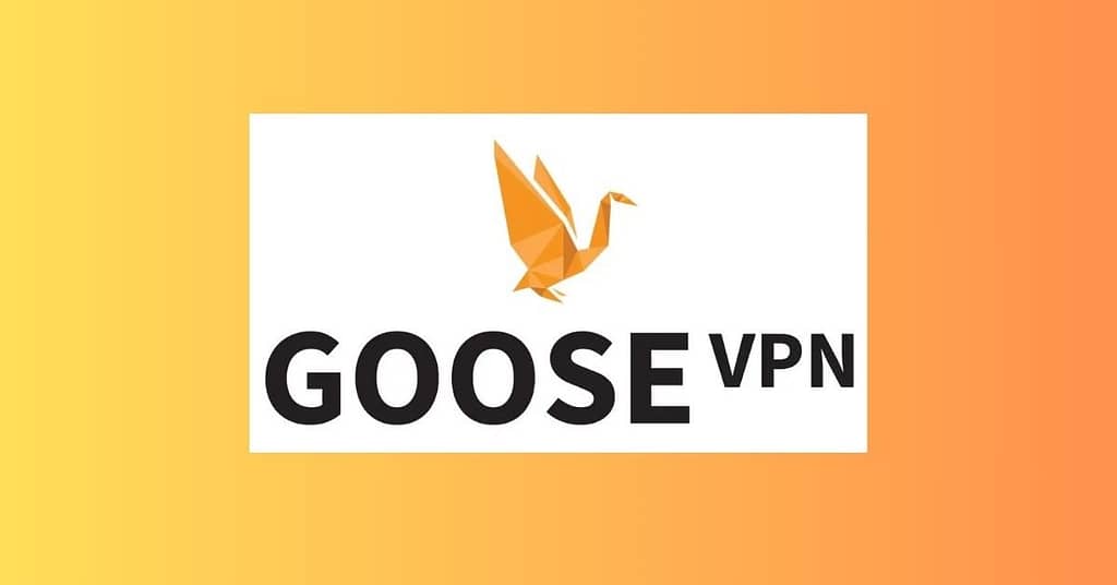 GooseVPN Review